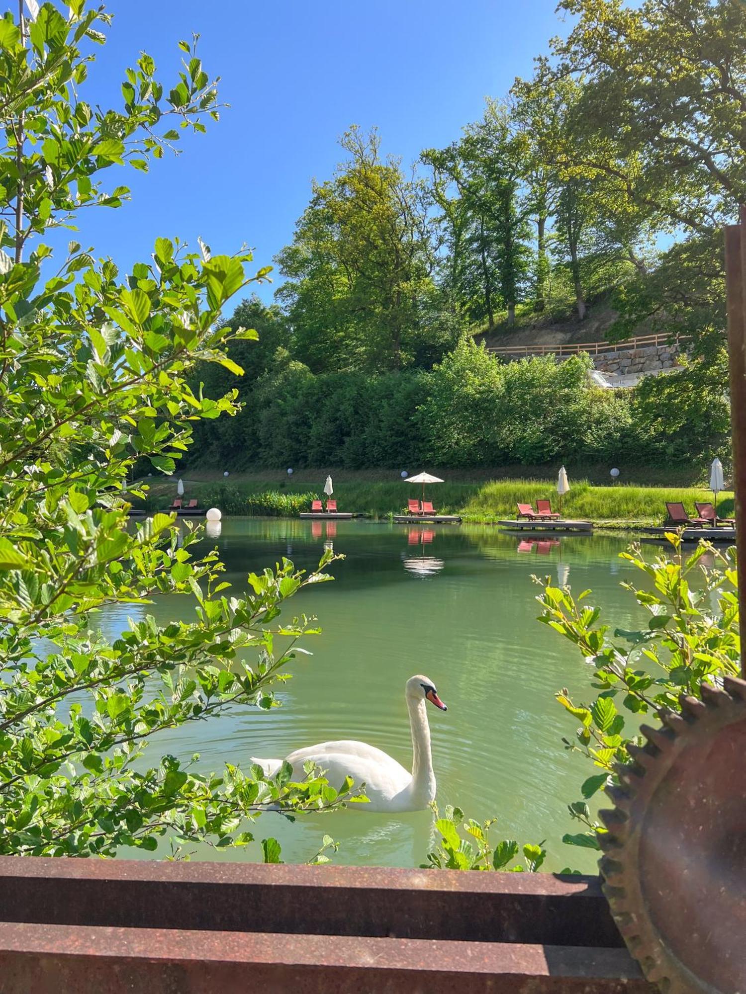 Hotel Deimann Schmallenberg Εξωτερικό φωτογραφία