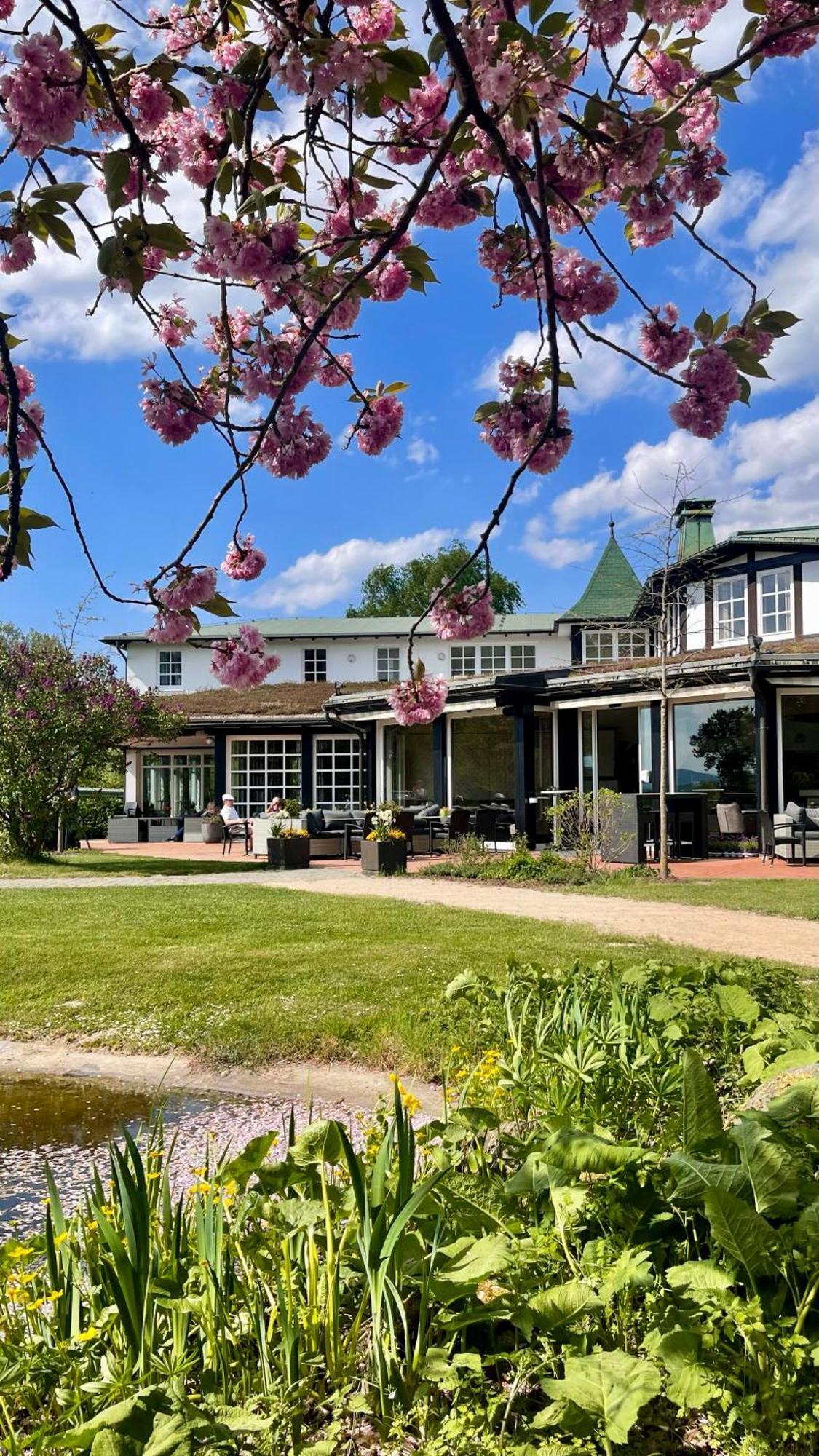 Hotel Deimann Schmallenberg Εξωτερικό φωτογραφία